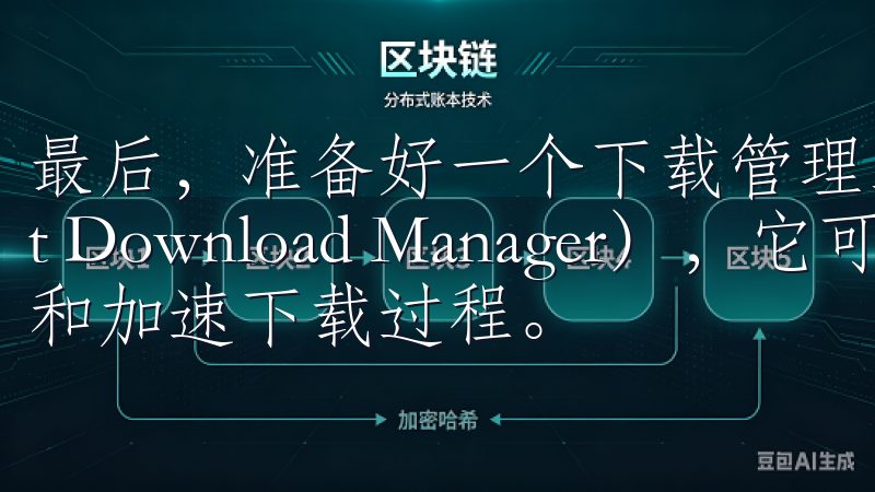最后，准备好一个下载管理工具，比如IDM（Internet Download Manager），它可以帮助你管理和加速下载过程。