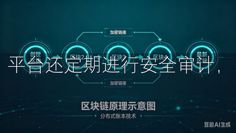 平台还定期进行安全审计，以防止潜的威胁。